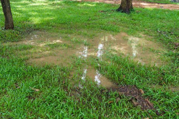 Cost of Storm Water Drainage Service in Marana