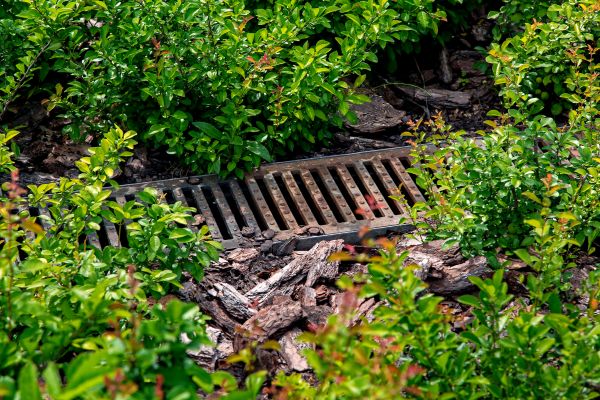 Cost of Underground Drainage Service in Marana