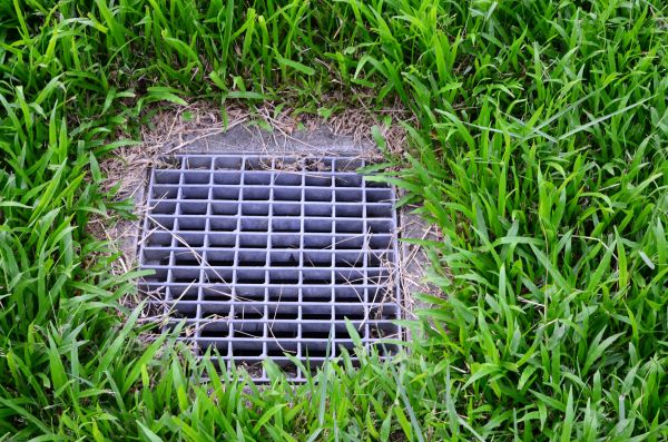 Cost of Yard Water Drainage in Marana
