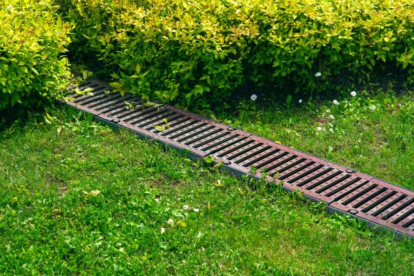 Cost of Lawn Drainage in Marana