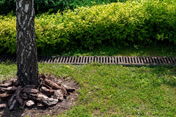 Cost of Yard Water Redirection in Marana