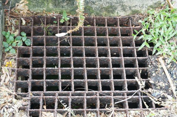 Cost of Yard Drain Cleaning in Marana