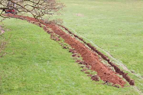 Cost of Swale Installation in Marana