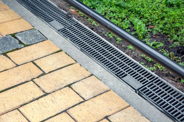 Cost of Waterlogged Yard Repair in Marana