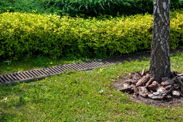 Cost of Residential Landscape Drainage in Marana