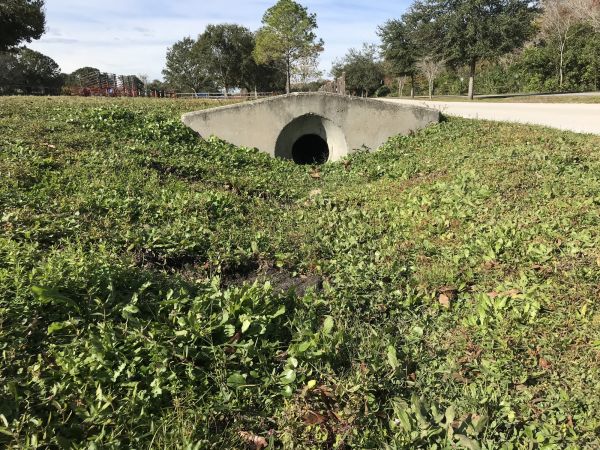 Cost of Swale Drainage Service in Marana